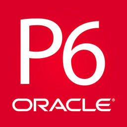 Oracle+P6